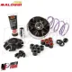 MF4011 - Variatore Malossi per Trasmissione Over Range Piaggio NRG Zip Runner 50