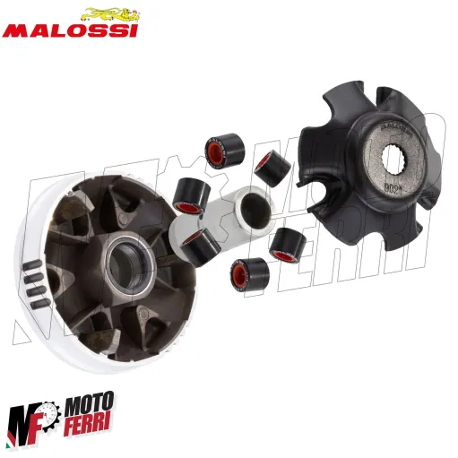 MF4011 - Variatore Malossi per Trasmissione Over Range Piaggio NRG Zip Runner 50