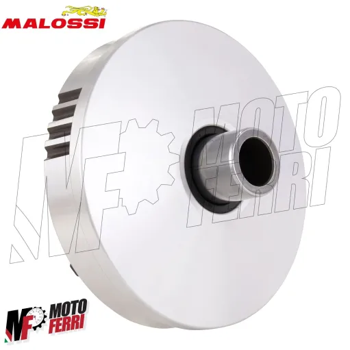 MF4011 - Variatore Malossi per Trasmissione Over Range Piaggio NRG Zip Runner 50
