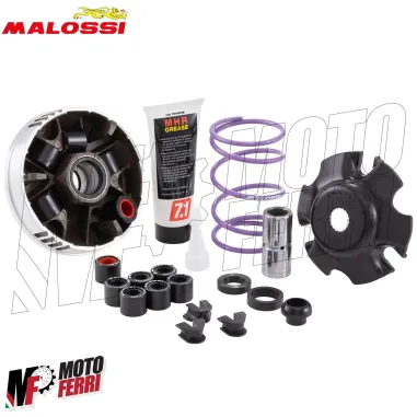 MF4011 - Variatore Malossi per Trasmissione Over Range Piaggio NRG Zip Runner 50