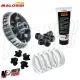 Variatore Malossi Multivar 2000 8 Rulli Piaggio Beverly MP3 Gilera Nexus 400 500