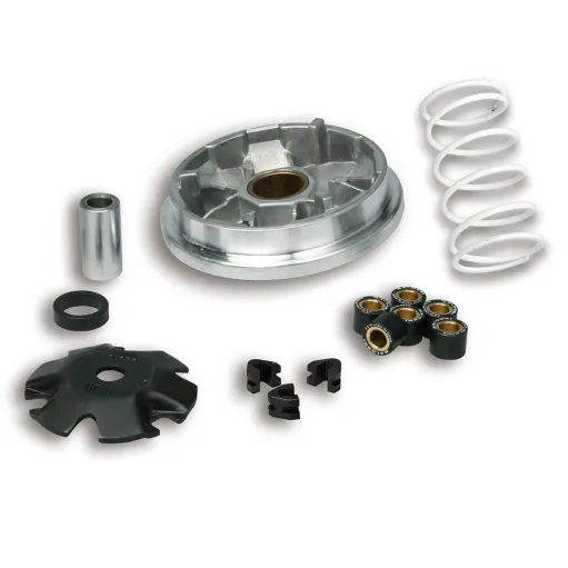VARIATORE MALOSSI MULTIVAR PEUGEOT 50 2T BUXY ZENIT SQUAB JET FORCE ELYSEO LUDIX