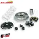 Variatore Malossi Multivar Piaggio 125 150 3V Liberty Vespa LX Primavera Sprint