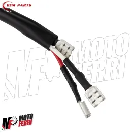 MF4680 Statore Elettronico a 6 Fili con frecce Piaggio Ciao Si Boss Bravo 2