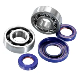 MF0951 - Kit Cuscinetti C4 Paraoli Albero Motore Polini Ape 50 P TM FL RST Mix