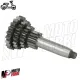 MF0160 Cluster Albero Quadruplo Cambio Vespa 50 Special PK S XL 125 ET3 Primavera