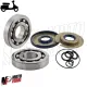 Revisione Albero Motore Cuscinetti Paraoli Oring Vespa 125 150 Sprint GL GTR TS