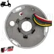 MF1036 Statore Magnete Vespa PX 125 150 200 Arcobaleno Avviamento Elettrico