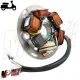 MF1036 Statore Magnete Vespa PX 125 150 200 Arcobaleno Avviamento Elettrico