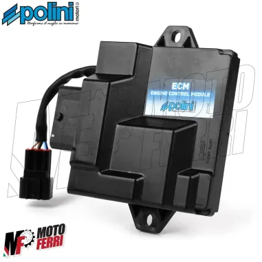 MF3438 Centralina Polini + Molle Piaggio Liberty Vespa Primavera 50 E5 2021/2024