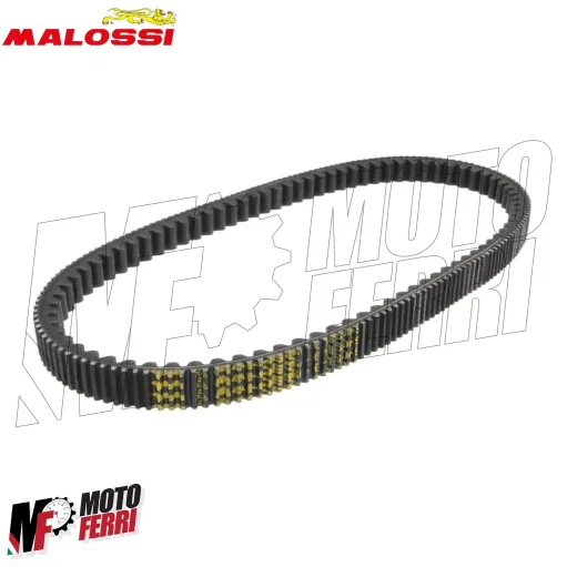 MF4865 Cinghia Trasmissione Malossi Aprilia Scarabeo Peugeot Geopolis 250/300cc