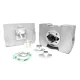 MF1024 Gruppo Termico Cilindro 75CC Dm 48 Corsa 42 Athena per Minarelli P4 P6