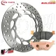 MF4916 Disco Freno Posteriore + Pastiglie Malossi Synt Yamaha TMax 500 2001/2003