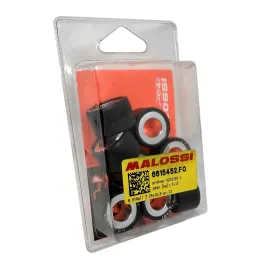 MF4926 Rulli Malossi 13gr per Variatore Originale e Multivar Beverly 350 25X15,9
