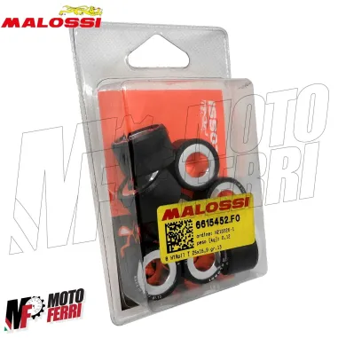 MF4926 Rulli Malossi 13gr per Variatore Originale e Multivar Beverly 350 25X15,9