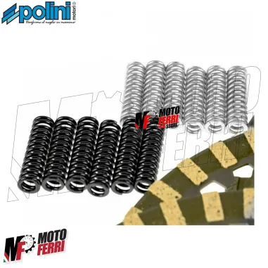 Serie Dischi Frizione con Molle Rinforzate Polini per Yamaha TMax 500 2001/2011