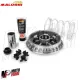 Variatore Malossi Multivar 2000 8 Rulli Piaggio Beverly MP3 Gilera Nexus 400 500