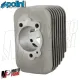MF0301 KIT CILINDRO GRUPPO 46 POLINI GHISA 75 SPINOTTO 12 PIAGGIO CIAO 50
