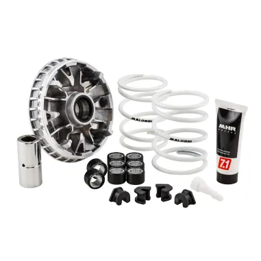 MF3116 Variatore Malossi Multivar 2000 per Beverly 350 / 400 HPE mod 2011 - 2024