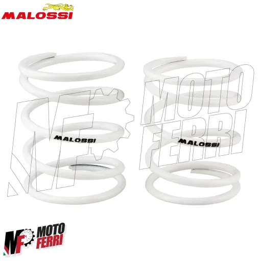 MF3116 Variatore Malossi Multivar 2000 per Beverly 350 / 400 HPE mod 2011 - 2024