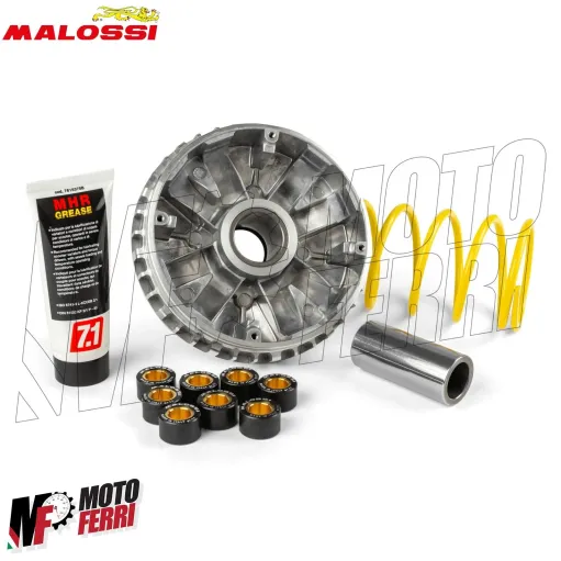 MF1694 - Variatore Malossi Multivar 2000 Yamaha X-City X-max Majesty 250 4T LC