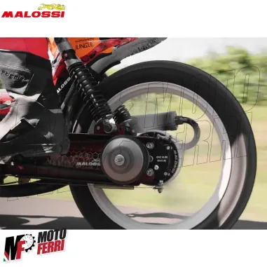 MF5045 Mozzo Posteriore Malossi Gear Box Piaggio Si Ciao Bravo con Variatore
