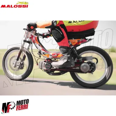 MF5045 Mozzo Posteriore Malossi Gear Box Piaggio Si Ciao Bravo con Variatore