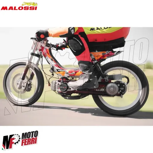 MF5045 Mozzo Posteriore Malossi Gear Box Piaggio Si Ciao Bravo con Variatore