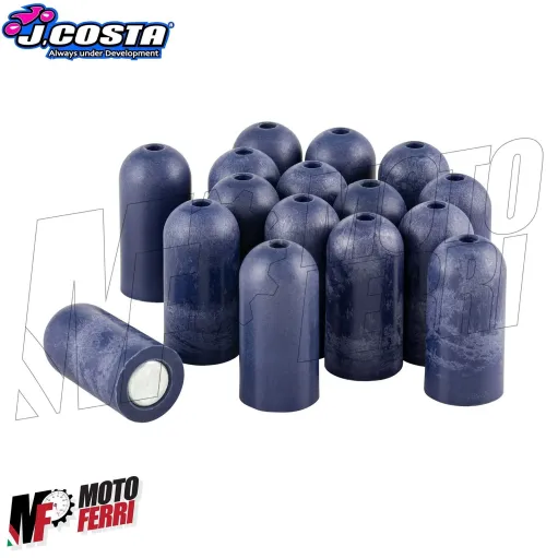 MF2067 Kit 16 Rulli J.Costa 13,5 Grammi 34mm per Yamaha TMax 500 530 560