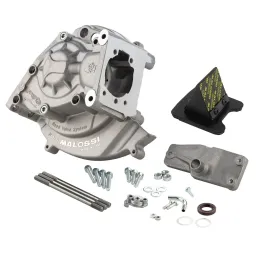 MF2053 Carter Malossi MP One Accensione Elettronica Piaggio Si Ciao PX Grillo Bravo Boss