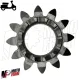 MF0982 - Ingranaggio Avviamento 12-12 Dm 20,5 Vespa 125 150 200 PX Arcobaleno