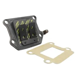 MF1852 Pacco lamellare valvola carbonio Malossi VL10 Mbk Booster 50 Bws Spirit