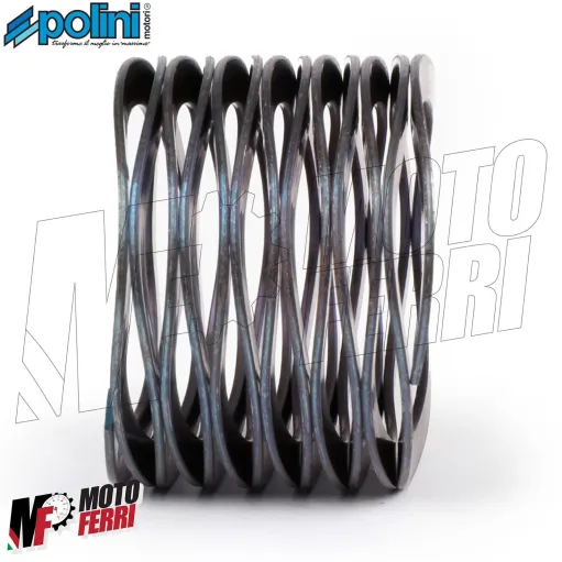 MF2476 MOLLA FRIZIONE WAVE RINFORZATA POLINI VESPA 50 SPECIAL 125 ET3 PRIMAVERA