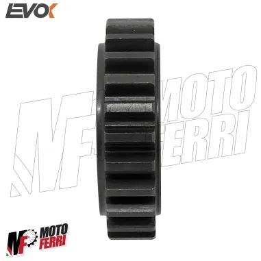 MF5315 Ingranaggio Z 25 Denti Evok per Campana Denti Dritti 24 / 72 Vespa Ape 50