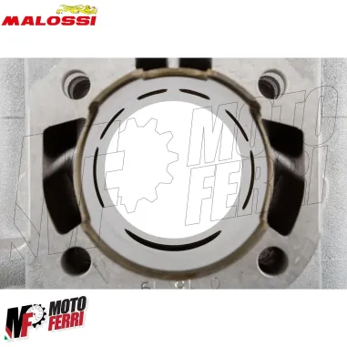 MF3496 Kit Gruppo Cilindro Malossi 65 cc Dm 45.5 Peugeot 103 RCX SP SPX 50