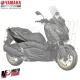 MF5318 Fianchetto Posteriore Destro Verde Opaco Yamaha XMax 125 300 400 (17/22)