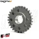 MF0887 Ingranaggio Pignone BGM 28 Denti per Campana Denti Dritti 27/69 Vespa 50