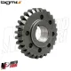 MF0887 Ingranaggio Pignone BGM 28 Denti per Campana Denti Dritti 27/69 Vespa 50
