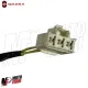 MF5930 Carter Coperchio Volano + Statore Originale Gilera GP800 Aprilia SRV 850