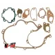 MF1104 Kit Revisione Guarnizioni Crocera Paraoli Cuscinetti Vespa PX 125 150