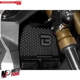 MF6199 Protezione Para Radiatore Barracuda Honda X-Adv / Forza 750 mod 2021-2024 2