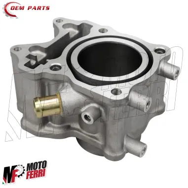 MF6281 - Kit Cilindro Gruppo Termico Dm 58 per Honda SH 150 mod 2013/2016