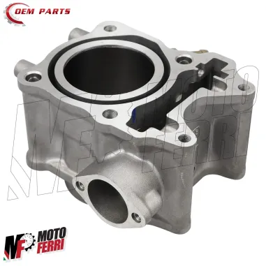MF6281 - Kit Cilindro Gruppo Termico Dm 58 per Honda SH 150 mod 2013/2016