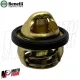 MF6290 Termostato Originale Benelli TRK 502 / X - Leoncino / Trail 500 2017-2024