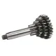 MF1565 Ingranaggio Multiplo Cluster Cambio Ape 50 P FL FL2 FL3 TM Europa Mix Rst