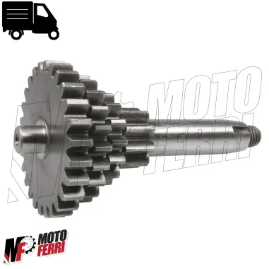 MF1565 Ingranaggio Multiplo Cluster Cambio Ape 50 P FL FL2 FL3 TM Europa Mix Rst
