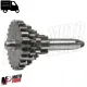 MF1565 Ingranaggio Multiplo Cluster Cambio Ape 50 P FL FL2 FL3 TM Europa Mix Rst