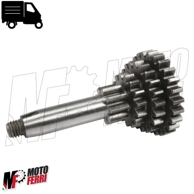 MF1565 Ingranaggio Multiplo Cluster Cambio Ape 50 P FL FL2 FL3 TM Europa Mix Rst