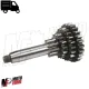 MF1565 Ingranaggio Multiplo Cluster Cambio Ape 50 P FL FL2 FL3 TM Europa Mix Rst