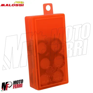 MF6481 Rulli Malossi 23X18 Gr 11 per Variatore Originale Yamaha XMax 300 (17/24)